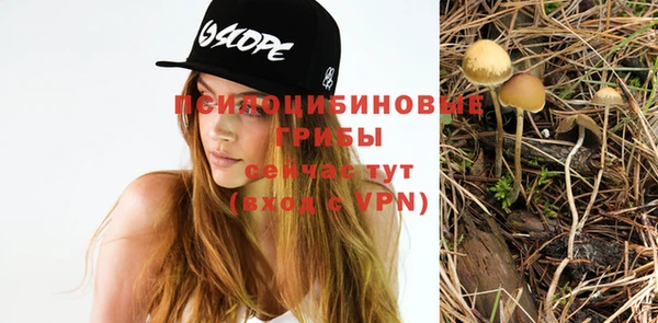 мескалин Армянск