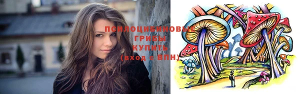 бошки Аркадак