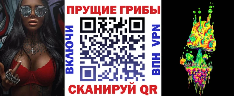 Псилоцибиновые грибы прущие грибы  Хилок 